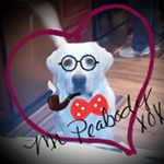 Profile Picture of Lori Cutrell (@lori_cutrell) on Instagram