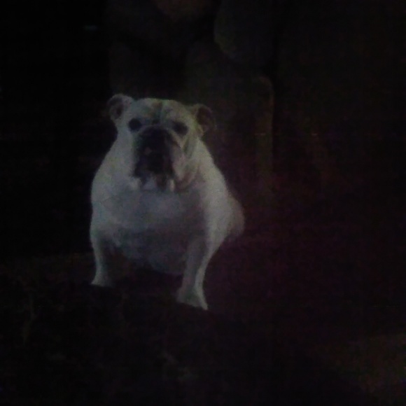 Profile Picture of Lisa Cononico (@lcononico) on Poshmark