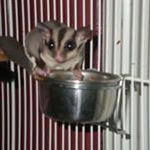 David Wagnon - Instagram Profile Picture of David Wagnon (@constantinedu59) on Instagram