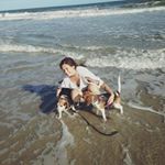 Avery Carpenter - Instagram Profile Picture of Avery Carpenter (@agirlandherbeagles) on Instagram