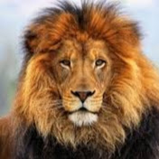 Profile Picture of Jack Shultz (@Thisjshultz8) on Youtube