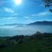 Profile Picture of Elena Biolchini (@freeniates) on Pinterest