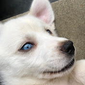 Profile Picture of Giselle Mata (@AthenaandPopcorn) on Youtube