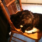 Profile Picture of Kendra Glick (@laceycatface) on Instagram