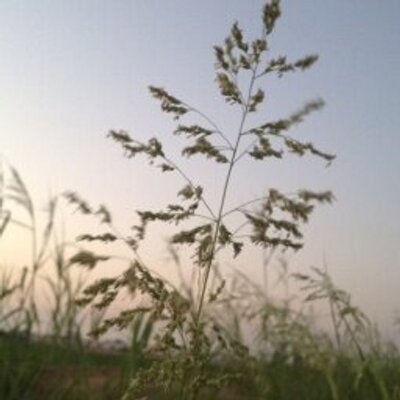 Profile Picture of بوث آورال Q8 (@CoreenClark1) on Twitter