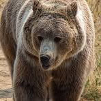 Profile Picture of Kardan Adam (@Kardan-Adam) on Facebook