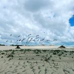 Brenda Busciglio - Instagram Profile Picture of Brenda Busciglio (@brendabusciglio) on Instagram