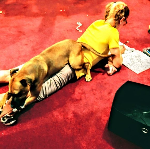 Profile Picture of Jephanie Stoan (@sjschmitt830) on Poshmark