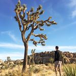 Profile Picture of Matt McGraw (@matt.s.mcgraw) on Instagram