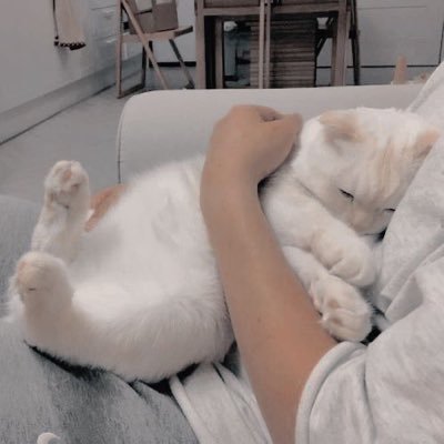 Profile Picture of Alyssa Gao (@alyssiium_) on Twitter