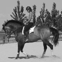 Profile Picture of Ginger Head (@ginger-head-1) on Quora