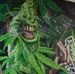 Profile Picture of Tony Panta (@Tony-Panta) on Facebook