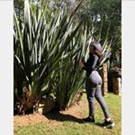 Profile Picture of Ana Valeria (@valeria_cebreros) on Instagram