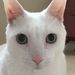 Profile Picture of Wade Weisser (@wadeweisser) on Pinterest