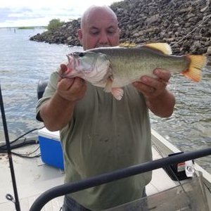 Profile Picture of Richard Dougherty (@Richard90786879) on Twitter