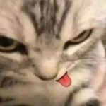 Profile Picture of Izzy (@isabelle._.frank) on Instagram