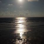 Profile Picture of Patrick Barbera (@wallace13124) on Instagram