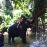 Profile Picture of George Evenden (@gevlaaa) on Instagram