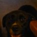 Profile Picture of Sherri Casto (@sherri.casto.31) on Facebook