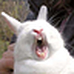 Profile Picture of Ryan Mason (@ryanmason) on Flickr