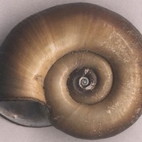 Profile Picture of David Moberly (@david-moberly) on Quora