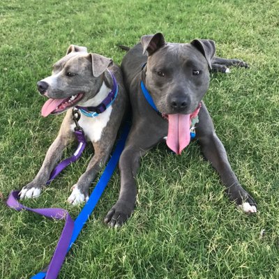 Profile Picture of Leo Peralta (@LeoPeralta18) on Twitter