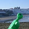 Profile Picture of Travel Turtle (@Travel Turtle) on Flickr