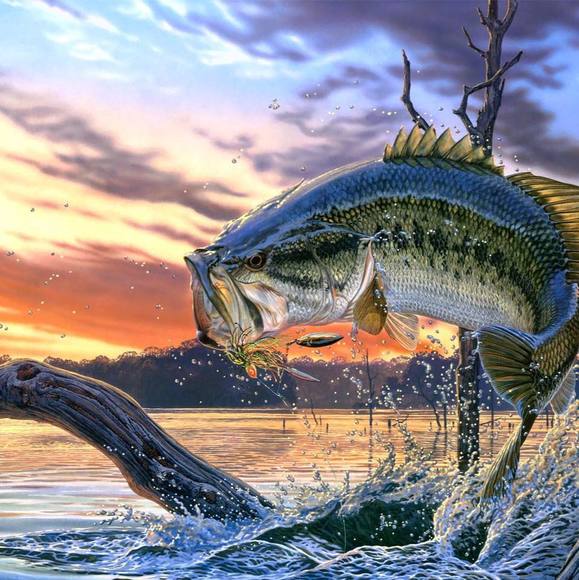 Profile Picture of Grant Farrar (@grant907) on Poshmark