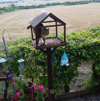 Profile Picture of Hazel Gibson (@hazel.gibson.338) on Facebook