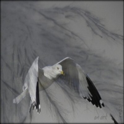 Profile Picture of كبريااءَ انثىىّ♔ (@BrettSerrano2) on Twitter