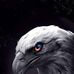 Profile Picture of William Jap (@William-Jap) on Facebook
