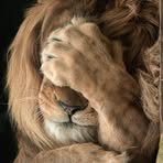 Profile Picture of Jude Shepherd (@jude.shepherd.688053) on Facebook