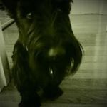 Profile Picture of Jason Gross (@jasonkelly97) on Instagram