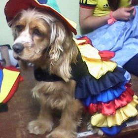 Profile Picture of martha lucia zambrano guevara (@baezfranco) on Pinterest