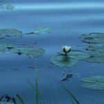 Profile Picture of Leonard (@leonardbarbar) on Instagram