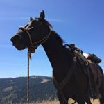 Profile Picture of Peter (@mincksp) on Instagram
