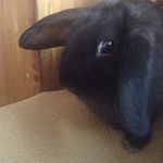 Profile Picture of Mounette Moumou (@mounette96) on Flickr