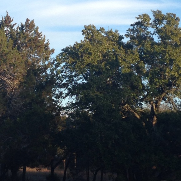 Profile Picture of Lori Miers (@lmiers) on Poshmark