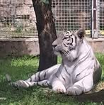 Profile Picture of Iris Ferri (@Iris-Ferri) on Facebook