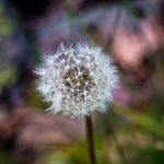 Profile Picture of Rose (@rosepottsphotography) on Instagram
