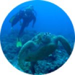 Profile Picture of Olivia Dowling (@octfilms) on Instagram