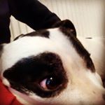 Profile Picture of Tyron Gavin Bowden Martin (@tyron_739) on Instagram