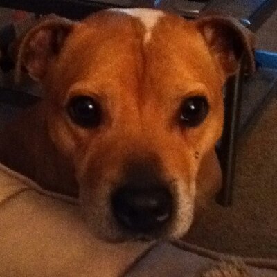 Profile Picture of Oakley Althorpe Rodg (@Oakleythestaff) on Twitter