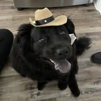 Profile Picture of Vicki MazzaMurphy (@Vicki-Mazza-Murphy) on Facebook