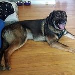 Profile Picture of Pierre Maurice Joseph Lussier (@pierresl96) on Instagram