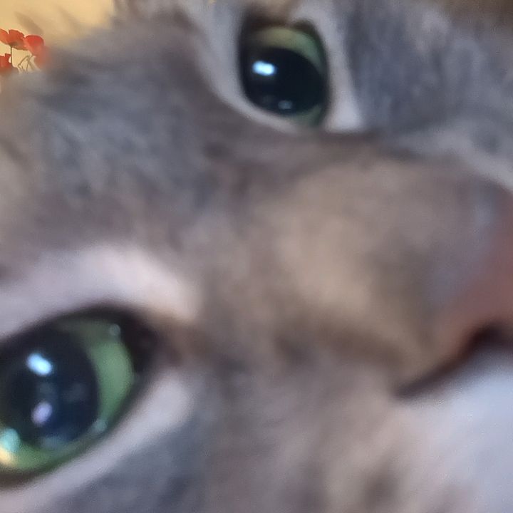 Profile Picture of Matthew Charbonneau (@mattlnahat) on Tiktok