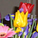 Profile Picture of Sarah Read (@Sarah Read) on Flickr
