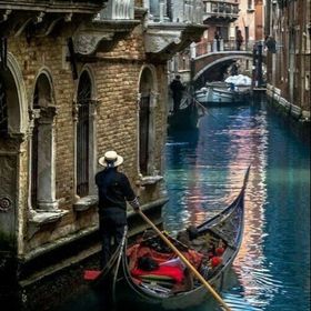 Profile Picture of Susan Weiss (@sbsweiss) on Pinterest
