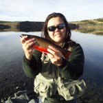 Profile Picture of Lori Harmon (@lori_matsuura) on Instagram