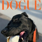 Profile Picture of Keith Jarvis (@mkpusa_admin) on Youtube